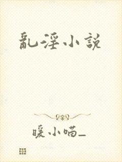 乱淫小说封面