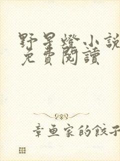 野星灯小说全文免费阅读封面