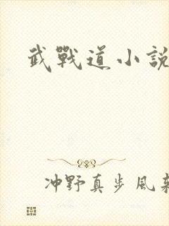 武战道小说封面