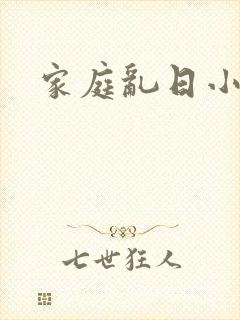 家庭乱日小说封面