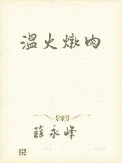 温火炖肉