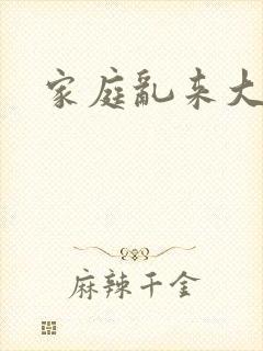 家庭乱来大杂烩