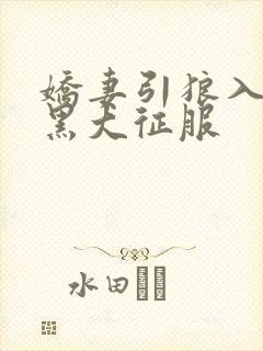 娇妻引狼入室被黑大征服