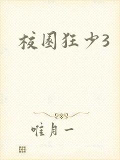 校园狂少3