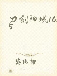 刀剑神域16.5封面