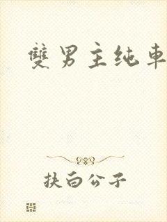 双男主纯车骨科