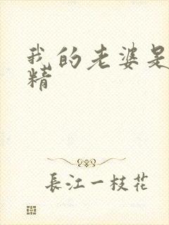 我的老婆是狐狸精