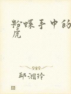 粉蝶手中的纸老虎