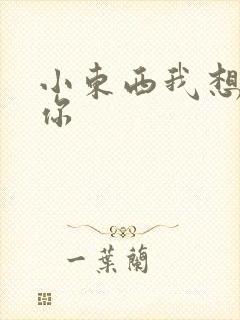 小东西我想弄坏你