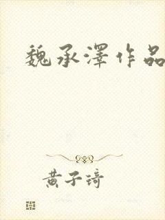 魏承泽作品封面