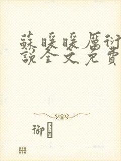 苏暖暖厉衍琛小说全文免费阅读