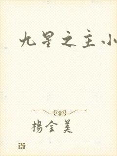 九星之主小说