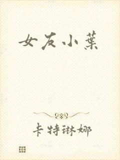 女友小叶