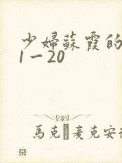 少妇苏霞的沉沦1一20