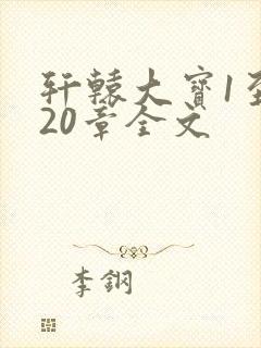 轩辕大宝1至720章全文封面