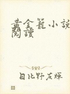 黄金笼小说免费阅读