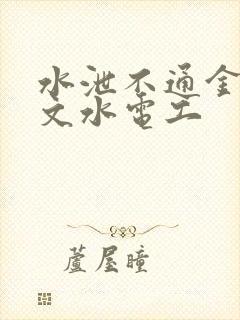 水泄不通金银原文水电工