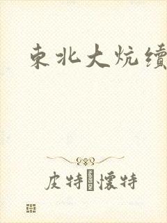东北大炕续