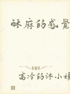 酥麻的感觉小说