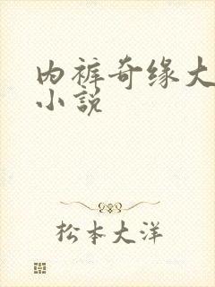 内裤奇缘大团结小说