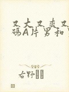 又大又爽又黄无码A片男和男