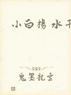 小白杨 水千丞封面