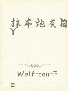 抹布炮灰日记BY