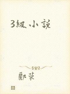 3级小说