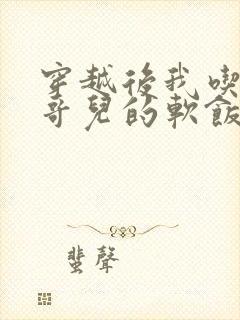 穿越后我吃到了哥儿的软饭炉山灰