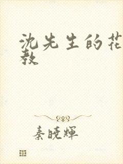 沈先生的花式管教