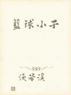 篮球小子封面