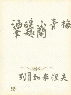 酒酿小青梅po笔趣阁