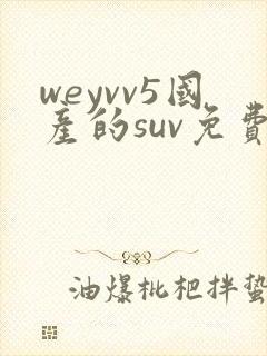 weyvv5国产的suv免费封面