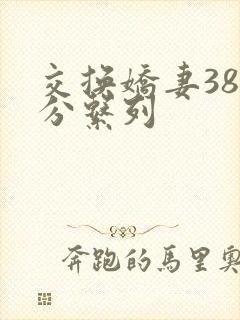 交换娇妻38部分系列