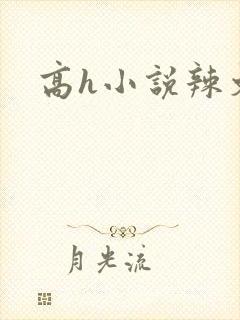 高h小说辣文