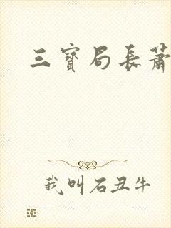 三宝局长萧燕封面