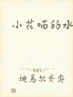 小花喵的水蜜桃