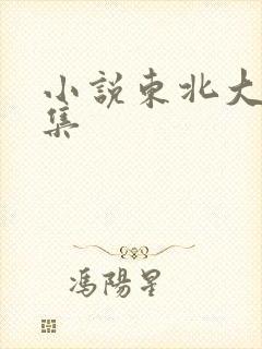 小说东北大炕全集封面