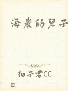 海岩的儿子