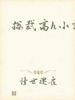 总裁高h小说封面