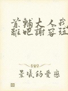 首辅大人我们和离吧谢容珏