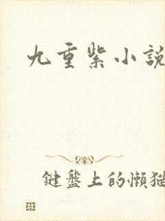 九重紫小说