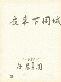 夜幕下同城网