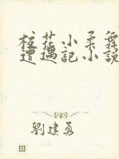 校花小柔舞蹈室遭遇记小说封面