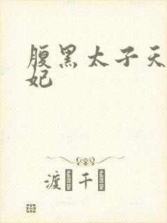 腹黑太子天降萌妃