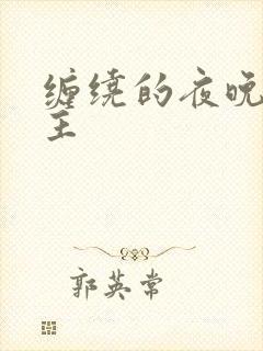 缠绕的夜晚双男主