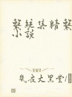 系统集精系统 小说