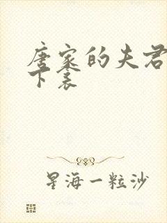 唐家的夫君们帘下衾