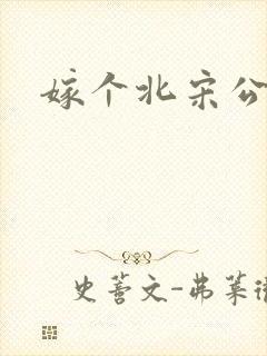 嫁个北宋公务员封面