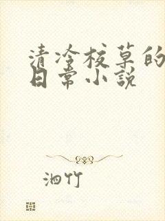 清冷校草的堕落日常小说